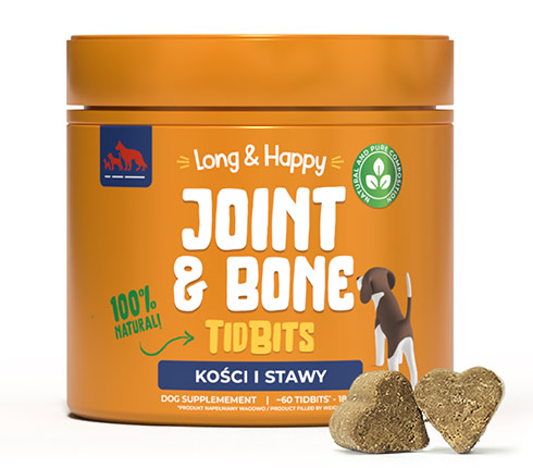 Joint & Bone